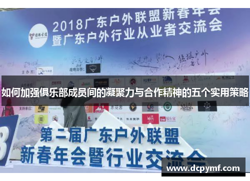 如何加强俱乐部成员间的凝聚力与合作精神的五个实用策略