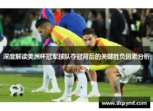 深度解读美洲杯冠军球队夺冠背后的关键胜负因素分析